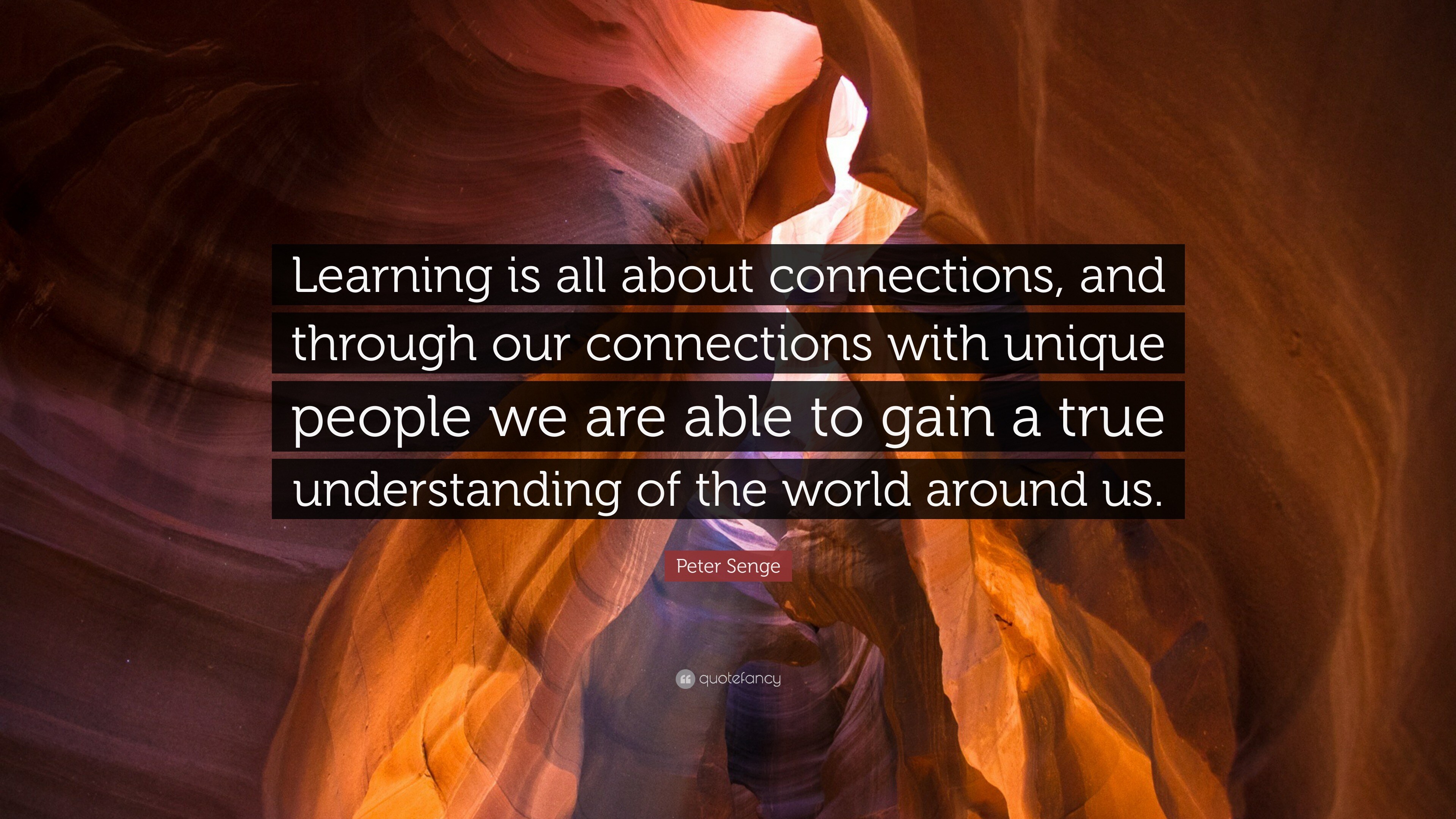 2790476-Peter-Senge-Quote-Learning-is-all-about-connections-and-through